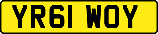 YR61WOY