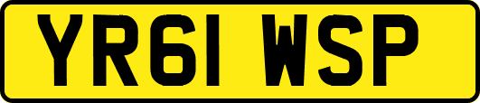 YR61WSP