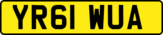 YR61WUA