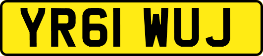YR61WUJ