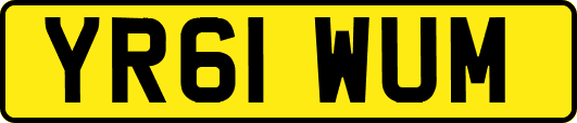 YR61WUM