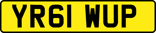 YR61WUP