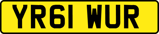 YR61WUR