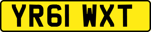 YR61WXT