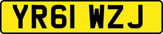YR61WZJ