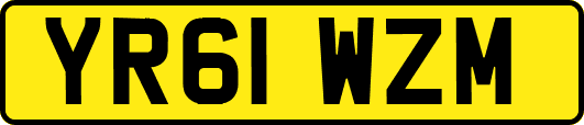 YR61WZM