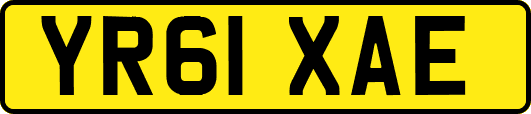 YR61XAE