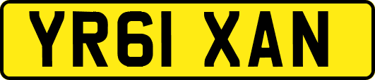 YR61XAN
