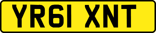 YR61XNT