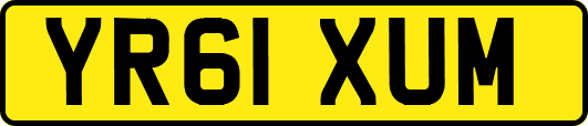 YR61XUM