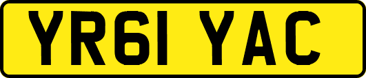YR61YAC