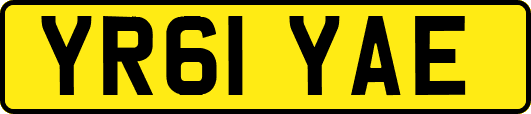 YR61YAE