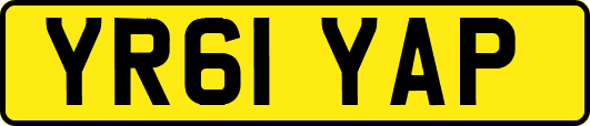 YR61YAP