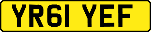 YR61YEF