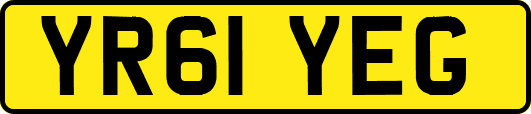 YR61YEG