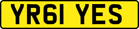 YR61YES