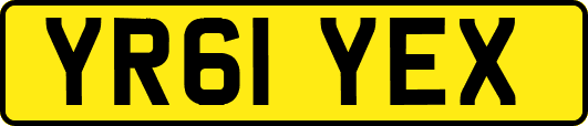 YR61YEX