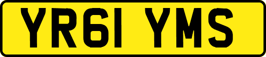 YR61YMS