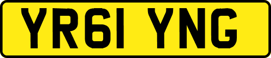 YR61YNG