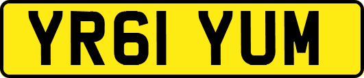 YR61YUM