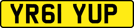 YR61YUP