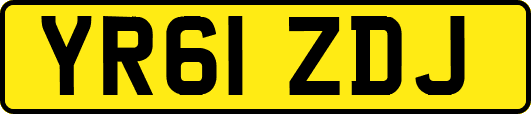YR61ZDJ