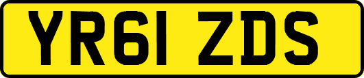 YR61ZDS