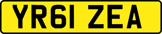 YR61ZEA