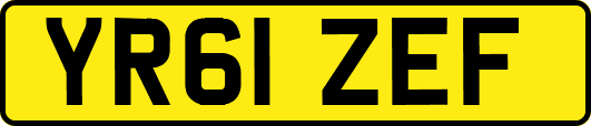 YR61ZEF