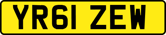 YR61ZEW