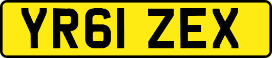YR61ZEX