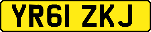 YR61ZKJ