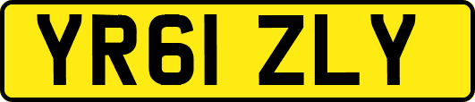 YR61ZLY