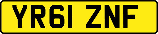 YR61ZNF