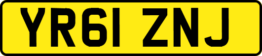 YR61ZNJ