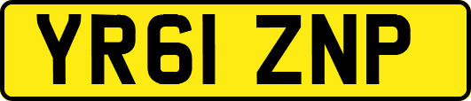 YR61ZNP