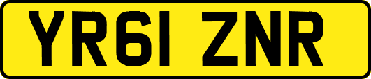 YR61ZNR