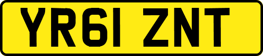 YR61ZNT