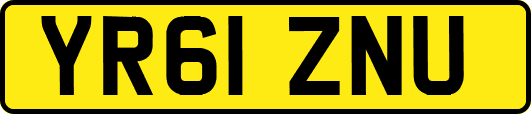 YR61ZNU