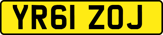 YR61ZOJ
