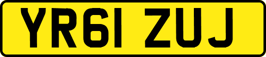 YR61ZUJ