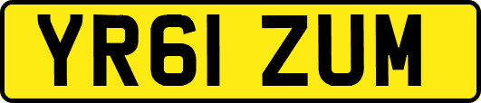 YR61ZUM
