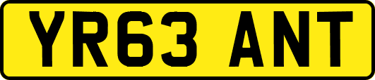 YR63ANT