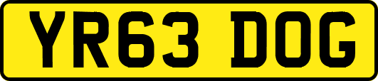 YR63DOG