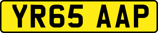 YR65AAP