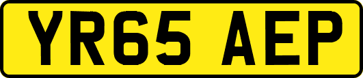 YR65AEP