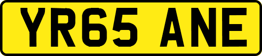 YR65ANE