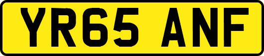 YR65ANF