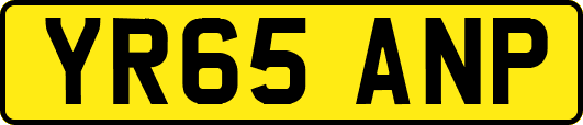 YR65ANP