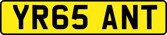 YR65ANT